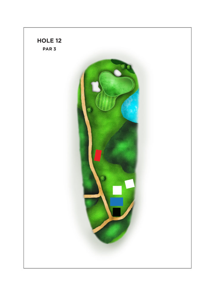 Hole 12
